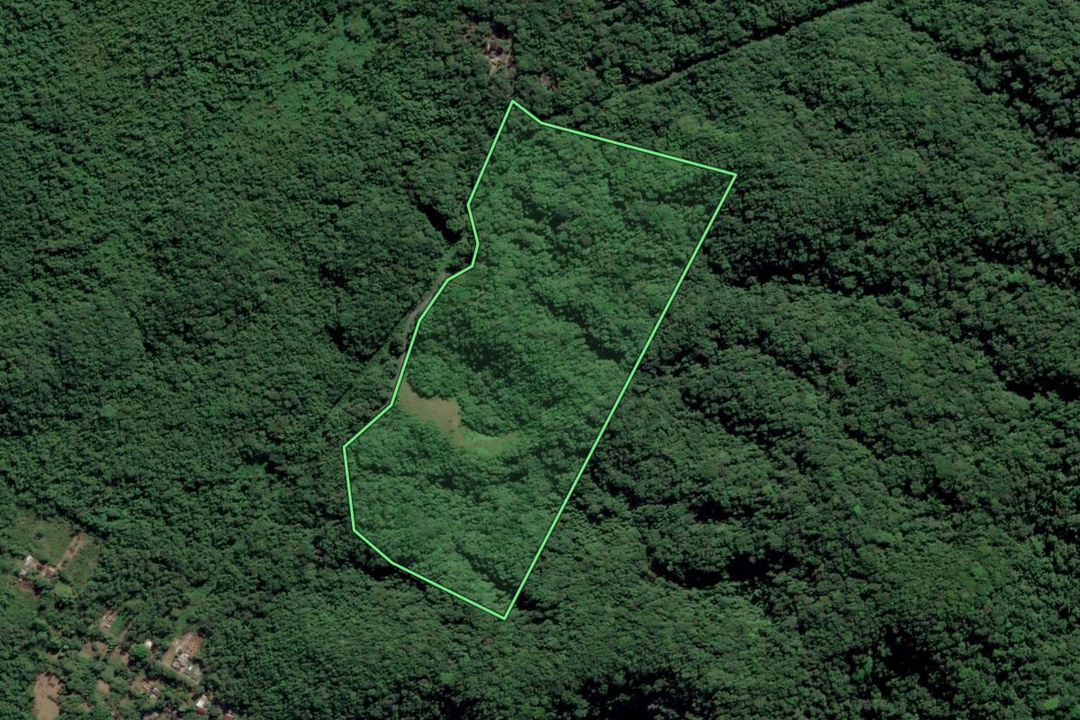 Imagem de satélite do imóvel rural em Ubatuba (SP), com o contorno declarado no CAR desenhado por cima.