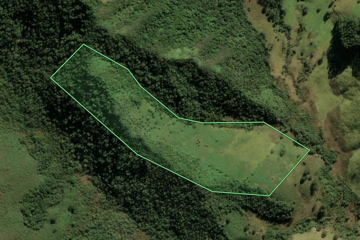 Imagem de satélite do imóvel rural em Ubatuba (SP), com o contorno declarado no CAR desenhado por cima.