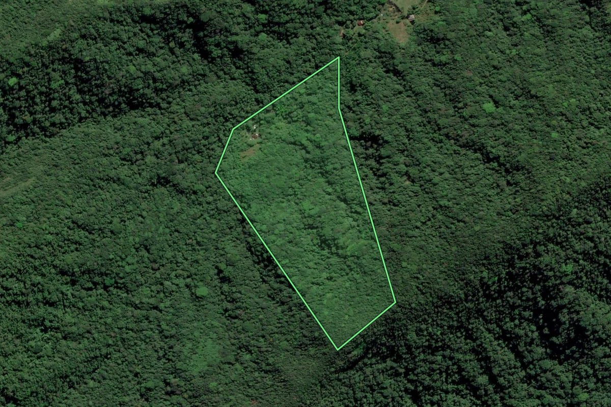 Imagem de satélite do imóvel rural em Ubatuba (SP), com o contorno declarado no CAR desenhado por cima.