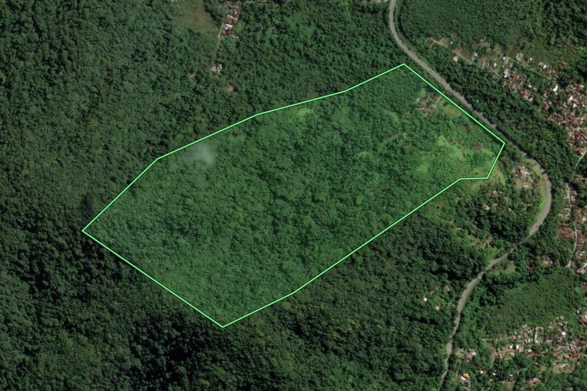 Imagem de satélite do imóvel rural em Ubatuba (SP), com o contorno declarado no CAR desenhado por cima.