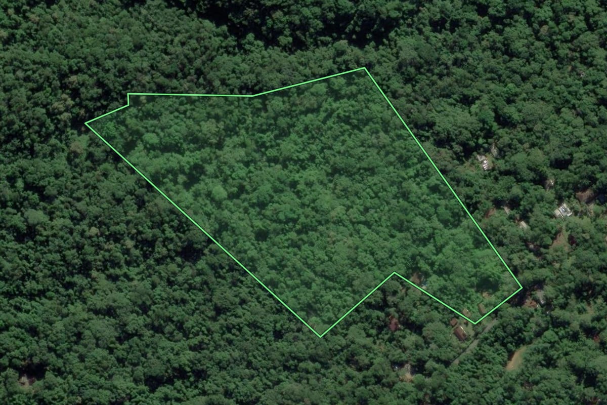 Imagem de satélite do imóvel rural em Ubatuba (SP), com o contorno declarado no CAR desenhado por cima.