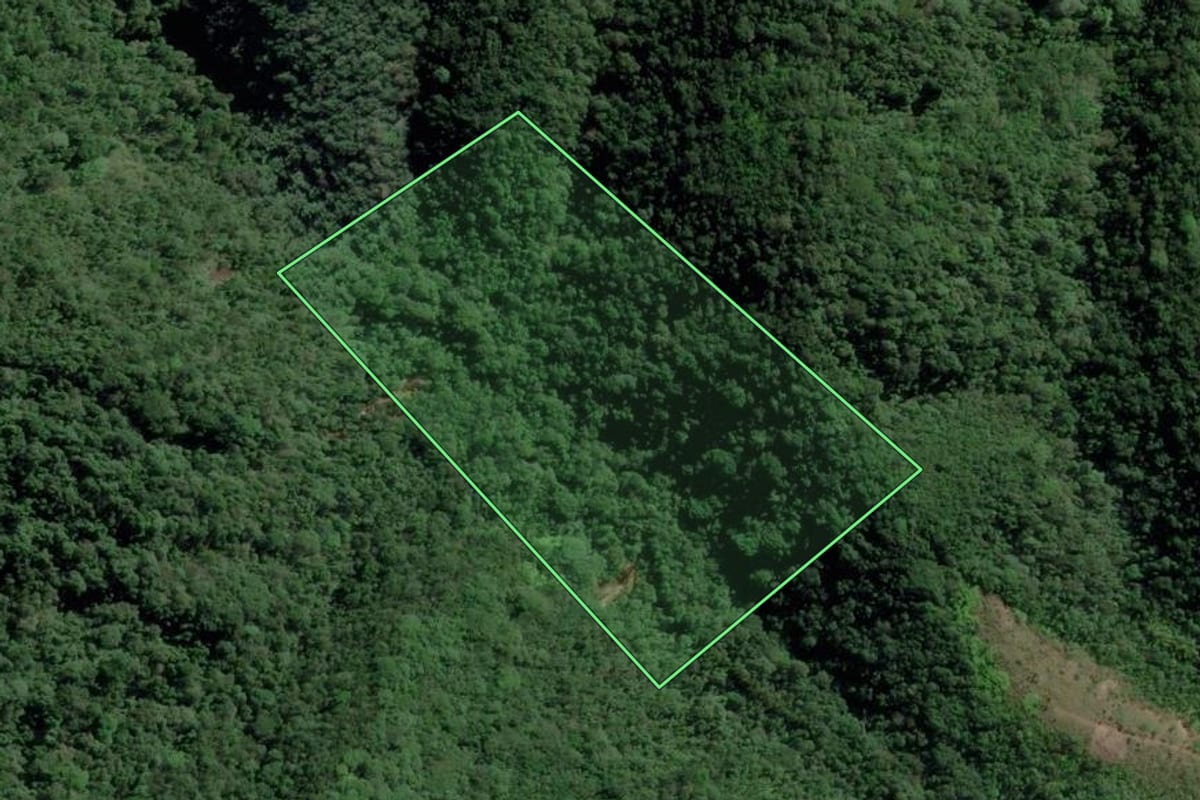 Imagem de satélite do imóvel rural em Ubatuba (SP), com o contorno declarado no CAR desenhado por cima.