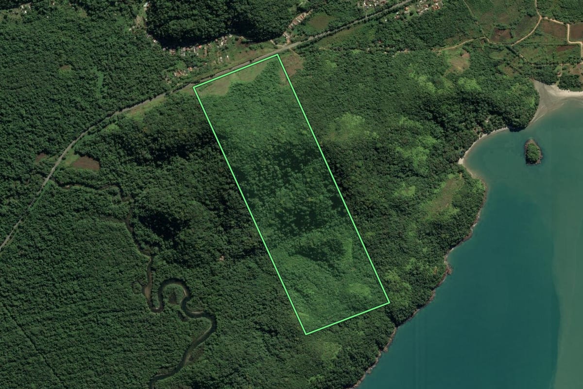 Imagem de satélite do imóvel rural em Ubatuba (SP), com o contorno declarado no CAR desenhado por cima.