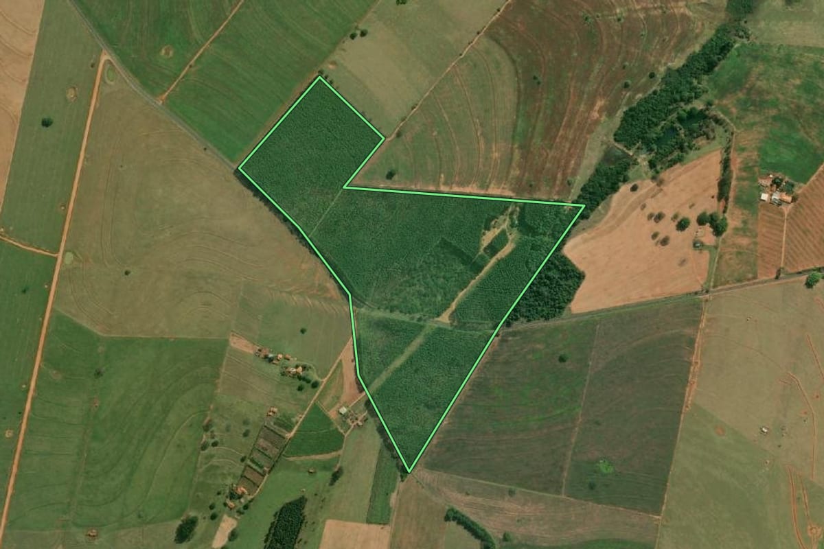 Imagem de satélite do imóvel rural em Ubirajara (SP), com o contorno declarado no CAR desenhado por cima.