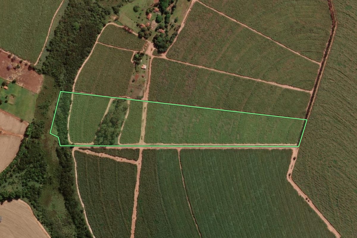 Imagem de satélite do imóvel rural em Uchoa (SP), com o contorno declarado no CAR desenhado por cima.