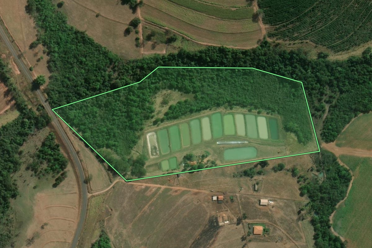 Imagem de satélite do imóvel rural em Uchoa (SP), com o contorno declarado no CAR desenhado por cima.
