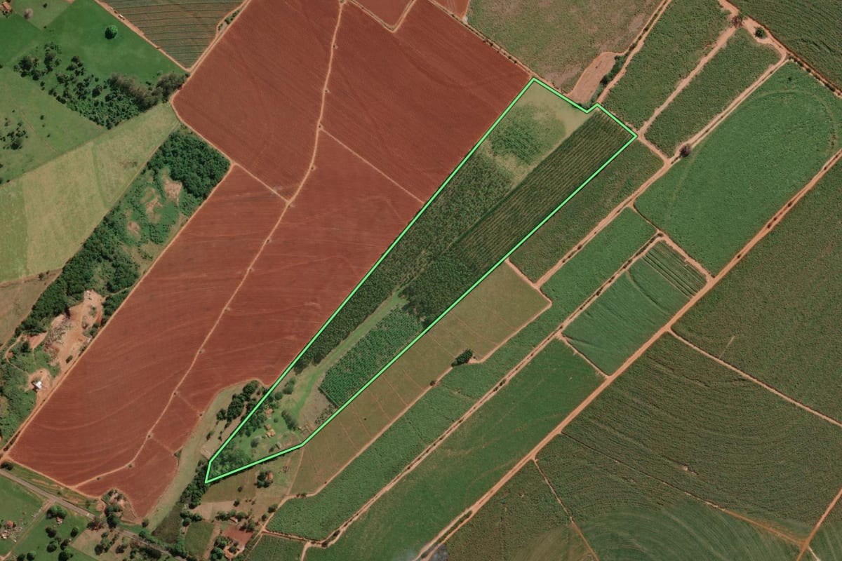 Imagem de satélite do imóvel rural em Uchoa (SP), com o contorno declarado no CAR desenhado por cima.
