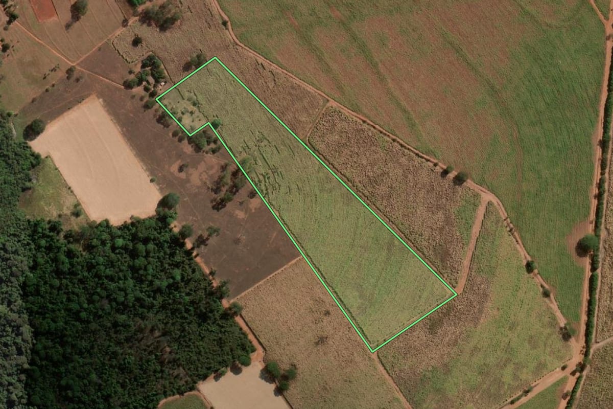 Imagem de satélite do imóvel rural em Uchoa (SP), com o contorno declarado no CAR desenhado por cima.