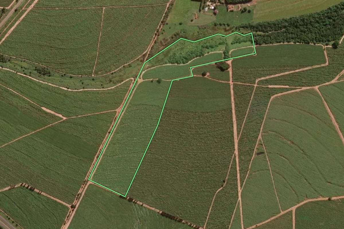 Imagem de satélite do imóvel rural em Uchoa (SP), com o contorno declarado no CAR desenhado por cima.
