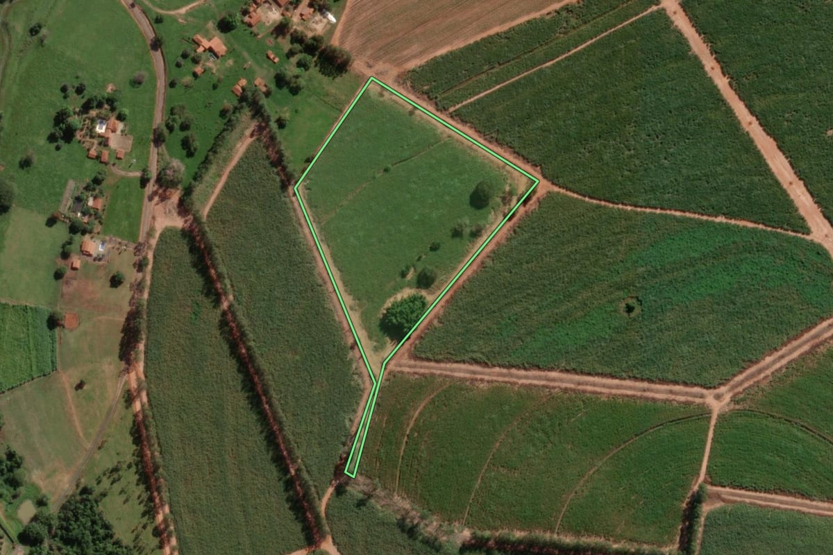 Imagem de satélite do imóvel rural em Uchoa (SP), com o contorno declarado no CAR desenhado por cima.