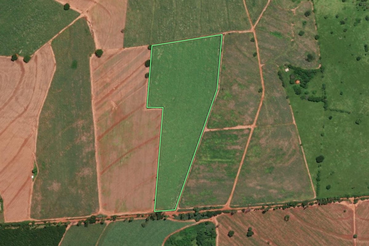 Imagem de satélite do imóvel rural em Uchoa (SP), com o contorno declarado no CAR desenhado por cima.