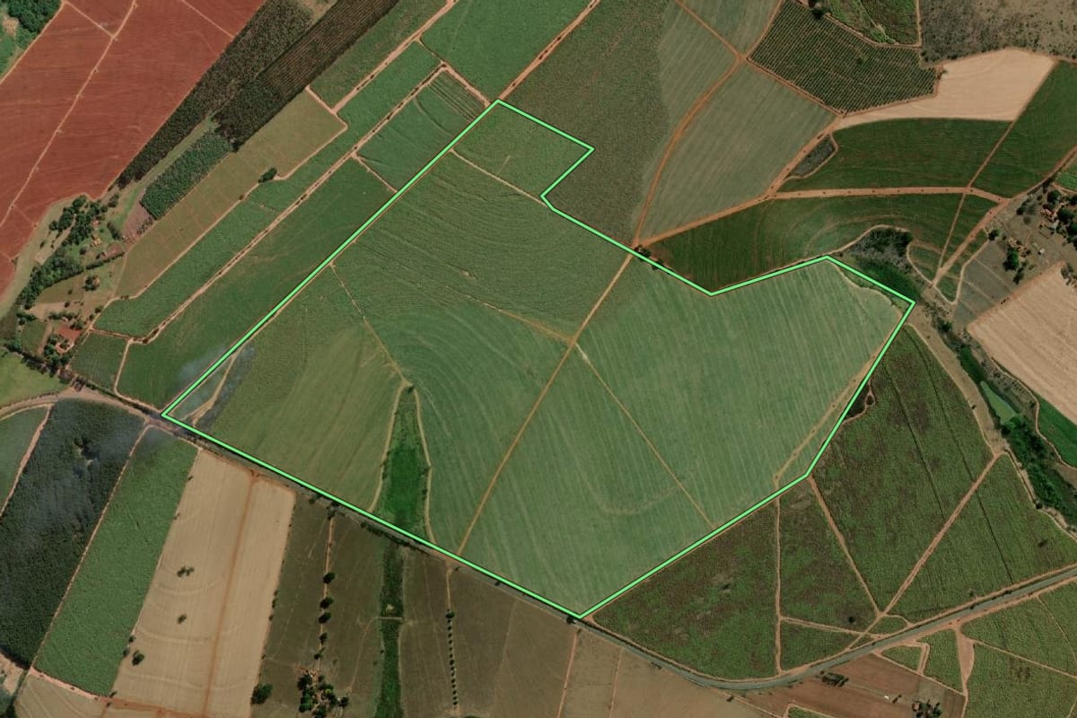 Imagem de satélite do imóvel rural em Uchoa (SP), com o contorno declarado no CAR desenhado por cima.