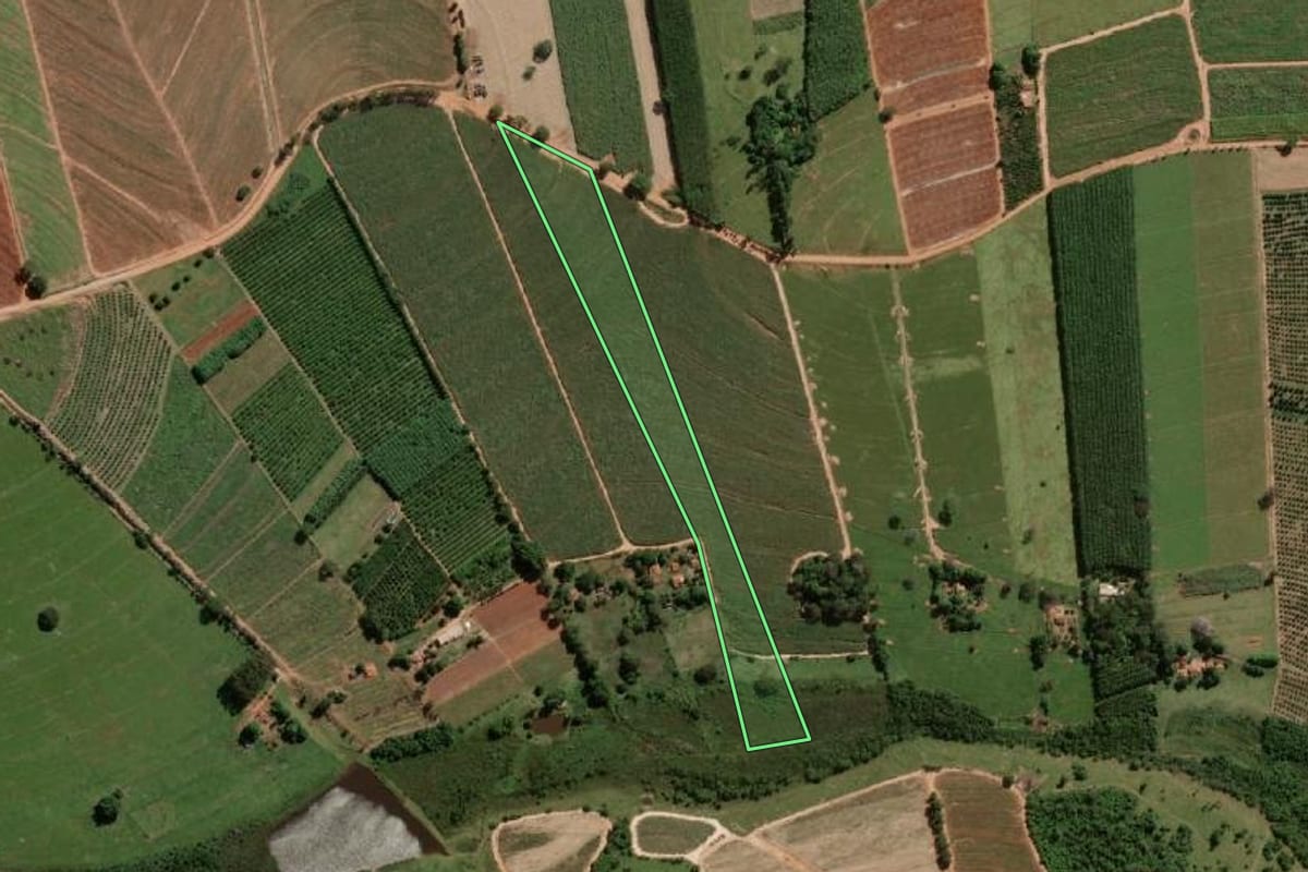 Imagem de satélite do imóvel rural em Uchoa (SP), com o contorno declarado no CAR desenhado por cima.