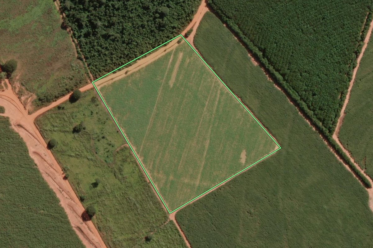 Imagem de satélite do imóvel rural em Uchoa (SP), com o contorno declarado no CAR desenhado por cima.