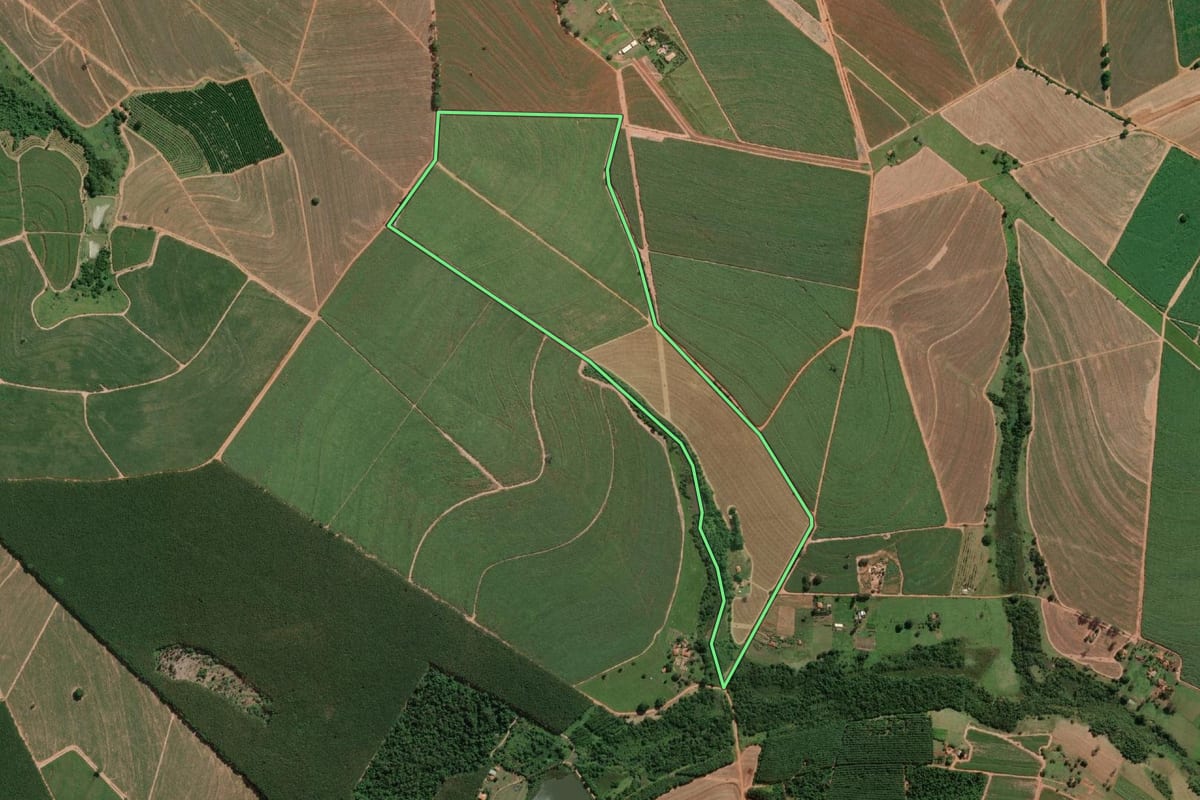 Imagem de satélite do imóvel rural em Uchoa (SP), com o contorno declarado no CAR desenhado por cima.
