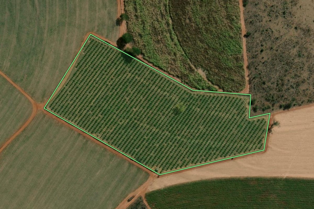 Imagem de satélite do imóvel rural em Uchoa (SP), com o contorno declarado no CAR desenhado por cima.