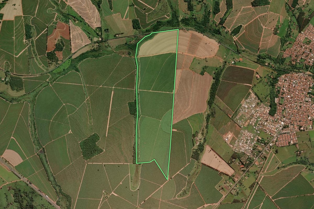 Imagem de satélite do imóvel rural em Uchoa (SP), com o contorno declarado no CAR desenhado por cima.