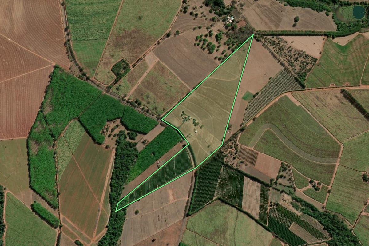 Imagem de satélite do imóvel rural em Uchoa (SP), com o contorno declarado no CAR desenhado por cima.