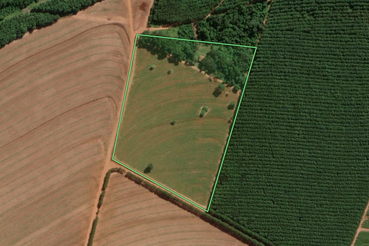 Imagem de satélite do imóvel rural em Uchoa (SP), com o contorno declarado no CAR desenhado por cima.