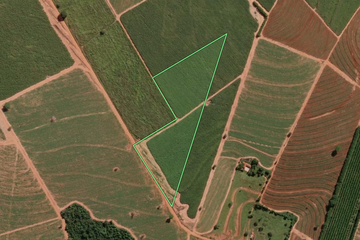 Imagem de satélite do imóvel rural em Uchoa (SP), com o contorno declarado no CAR desenhado por cima.