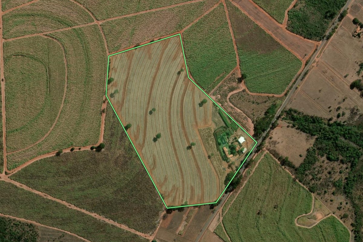 Imagem de satélite do imóvel rural em Uchoa (SP), com o contorno declarado no CAR desenhado por cima.
