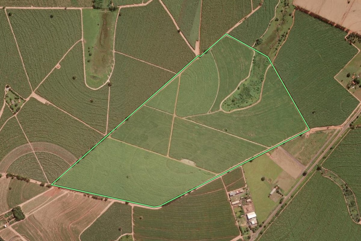 Imagem de satélite do imóvel rural em Uchoa (SP), com o contorno declarado no CAR desenhado por cima.