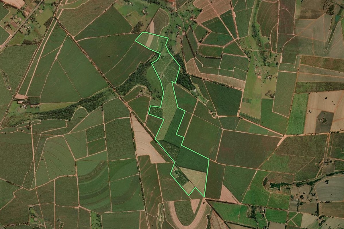 Imagem de satélite do imóvel rural em Uchoa (SP), com o contorno declarado no CAR desenhado por cima.