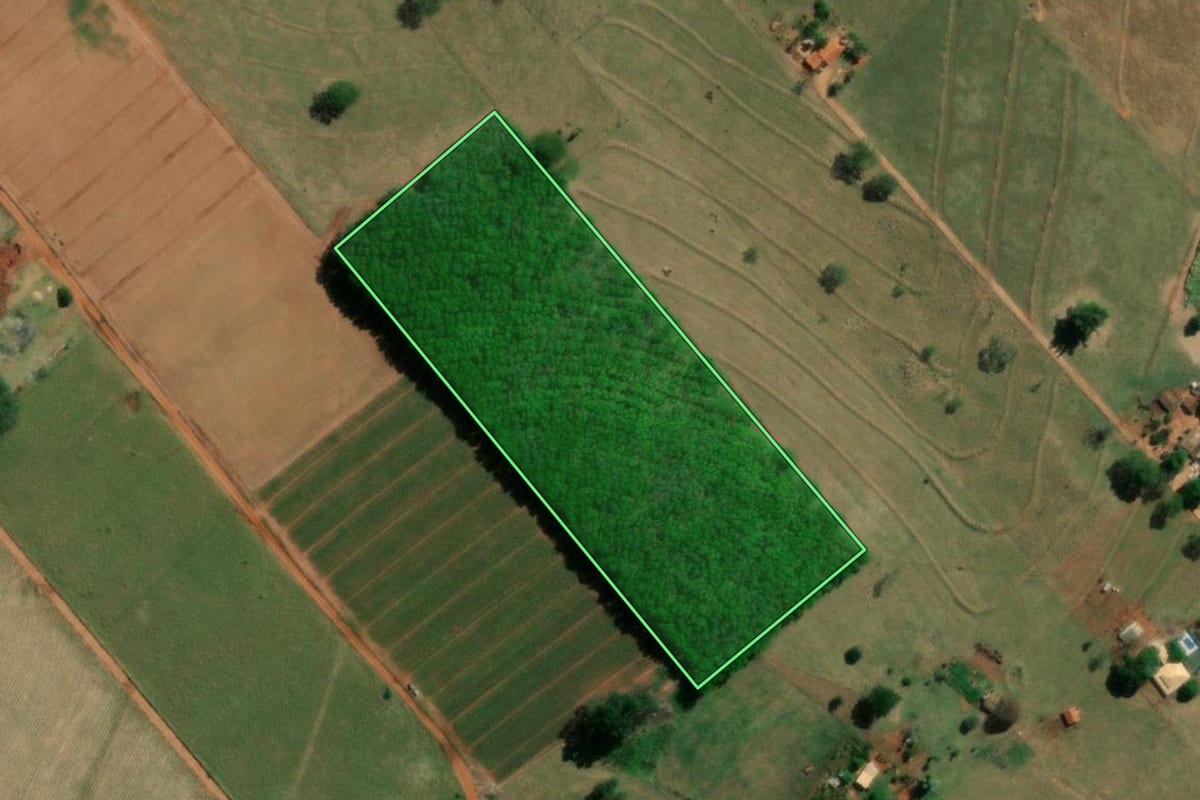 Imagem de satélite do imóvel rural em União Paulista (SP), com o contorno declarado no CAR desenhado por cima.