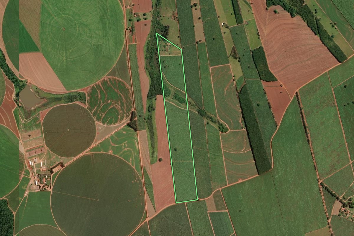 Imagem de satélite do imóvel rural em União Paulista (SP), com o contorno declarado no CAR desenhado por cima.