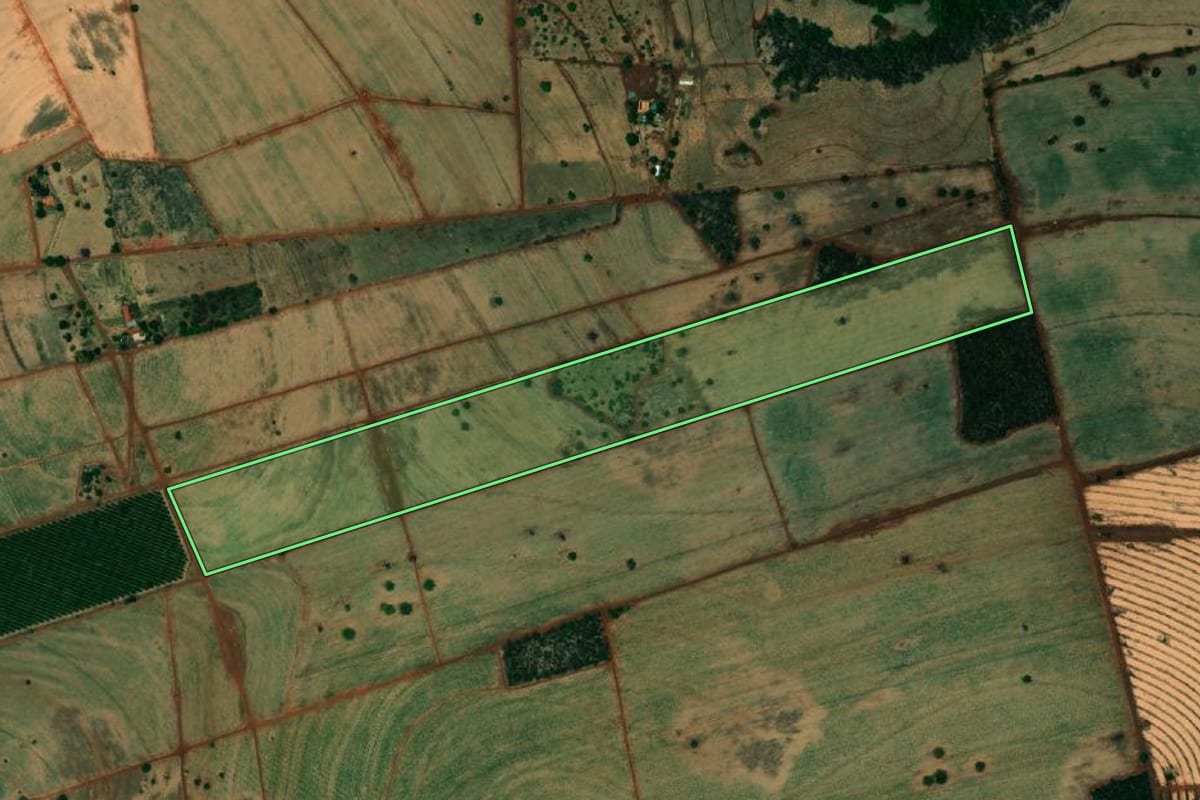 Imagem de satélite do imóvel rural em Urânia (SP), com o contorno declarado no CAR desenhado por cima.