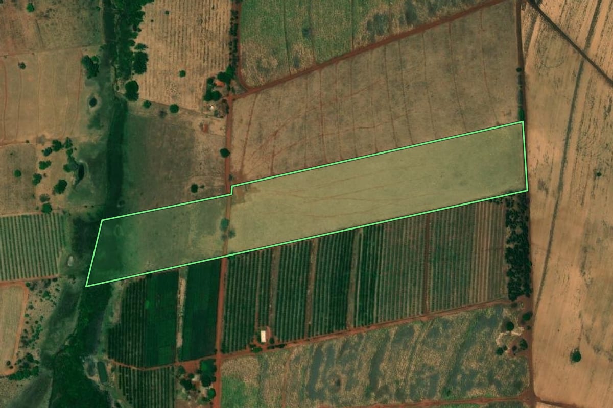 Imagem de satélite do imóvel rural em Urânia (SP), com o contorno declarado no CAR desenhado por cima.