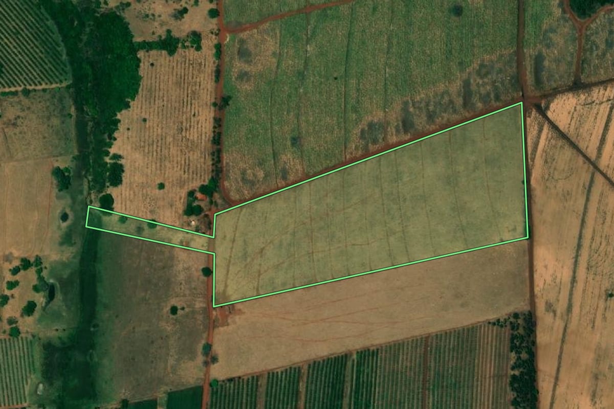 Imagem de satélite do imóvel rural em Urânia (SP), com o contorno declarado no CAR desenhado por cima.