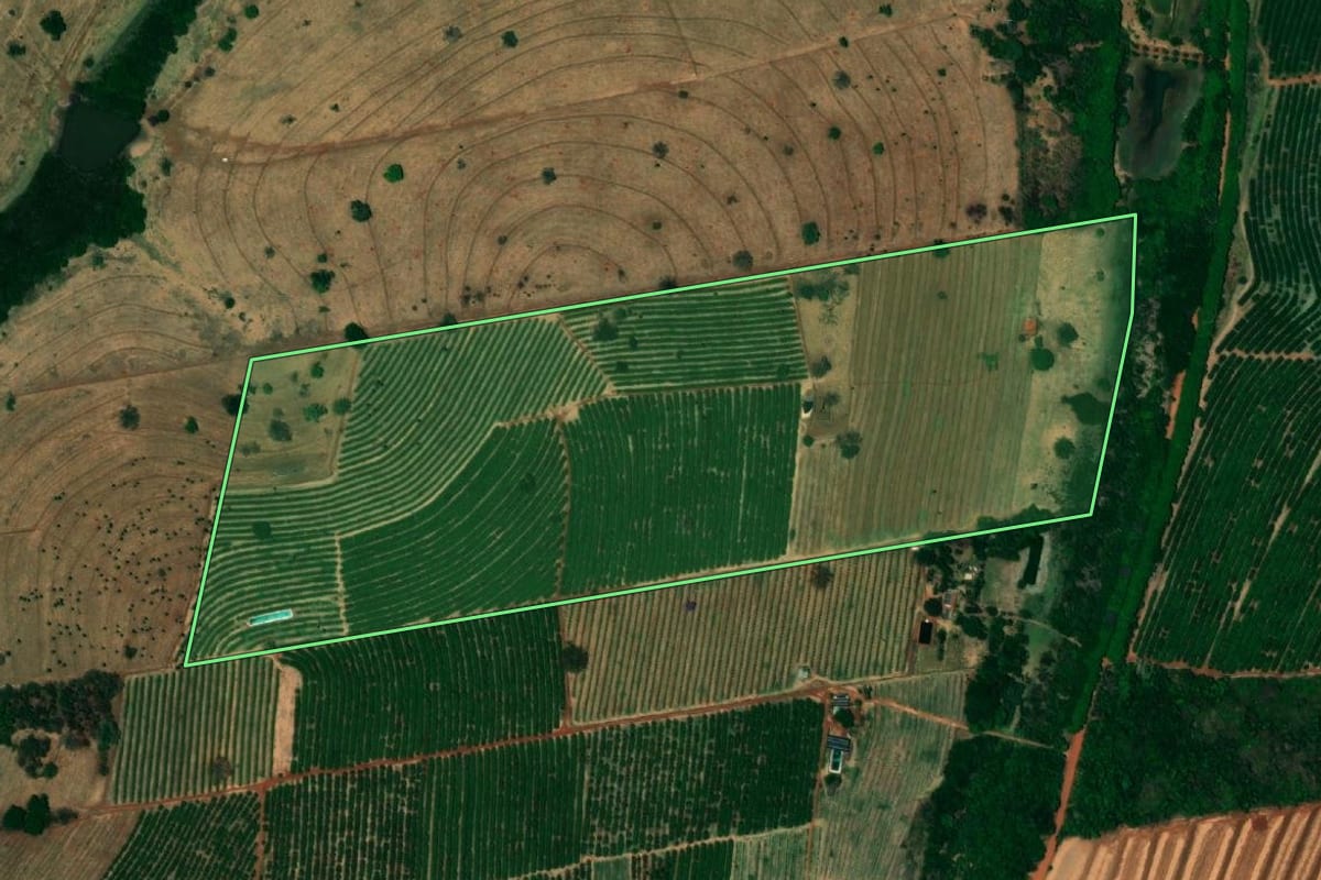 Imagem de satélite do imóvel rural em Urânia (SP), com o contorno declarado no CAR desenhado por cima.
