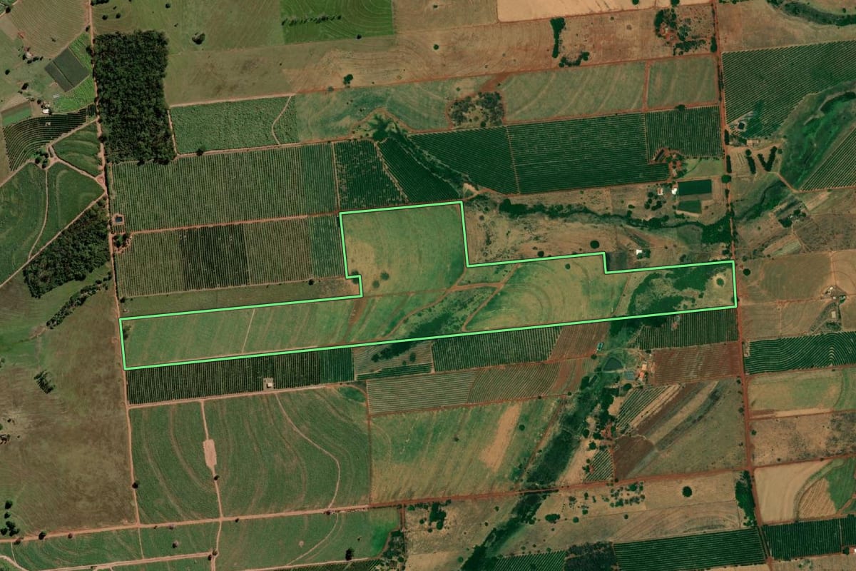 Imagem de satélite do imóvel rural em Urânia (SP), com o contorno declarado no CAR desenhado por cima.