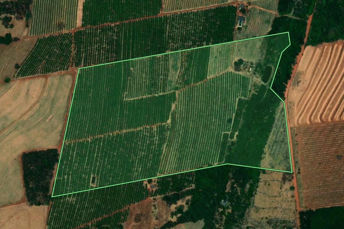 Imagem de satélite do imóvel rural em Urânia (SP), com o contorno declarado no CAR desenhado por cima.