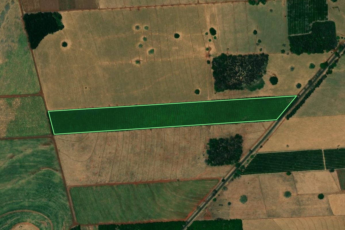 Imagem de satélite do imóvel rural em Urânia (SP), com o contorno declarado no CAR desenhado por cima.