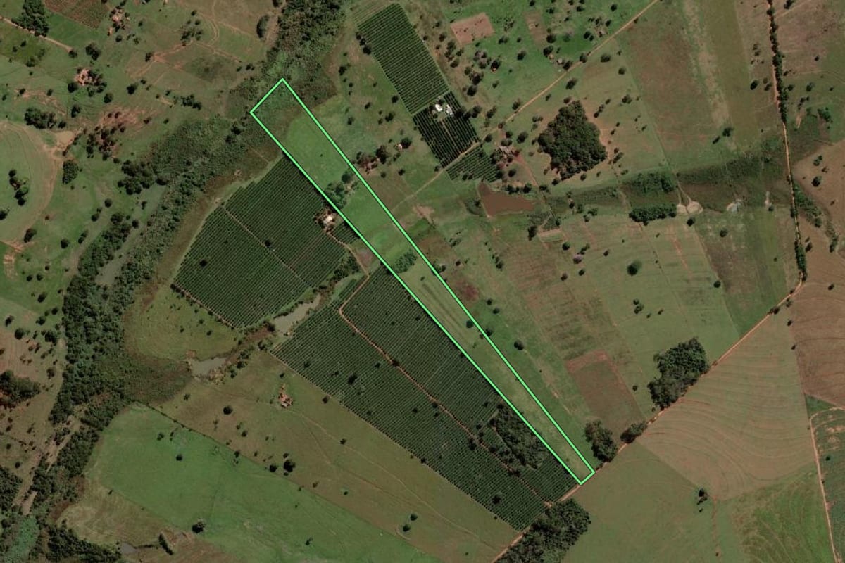 Imagem de satélite do imóvel rural em Urânia (SP), com o contorno declarado no CAR desenhado por cima.