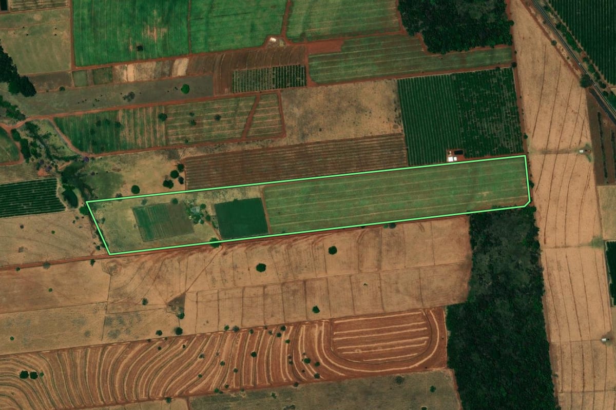 Imagem de satélite do imóvel rural em Urânia (SP), com o contorno declarado no CAR desenhado por cima.