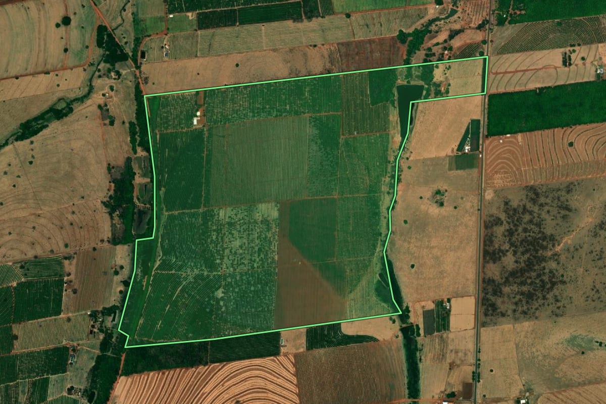 Imagem de satélite do imóvel rural em Urânia (SP), com o contorno declarado no CAR desenhado por cima.