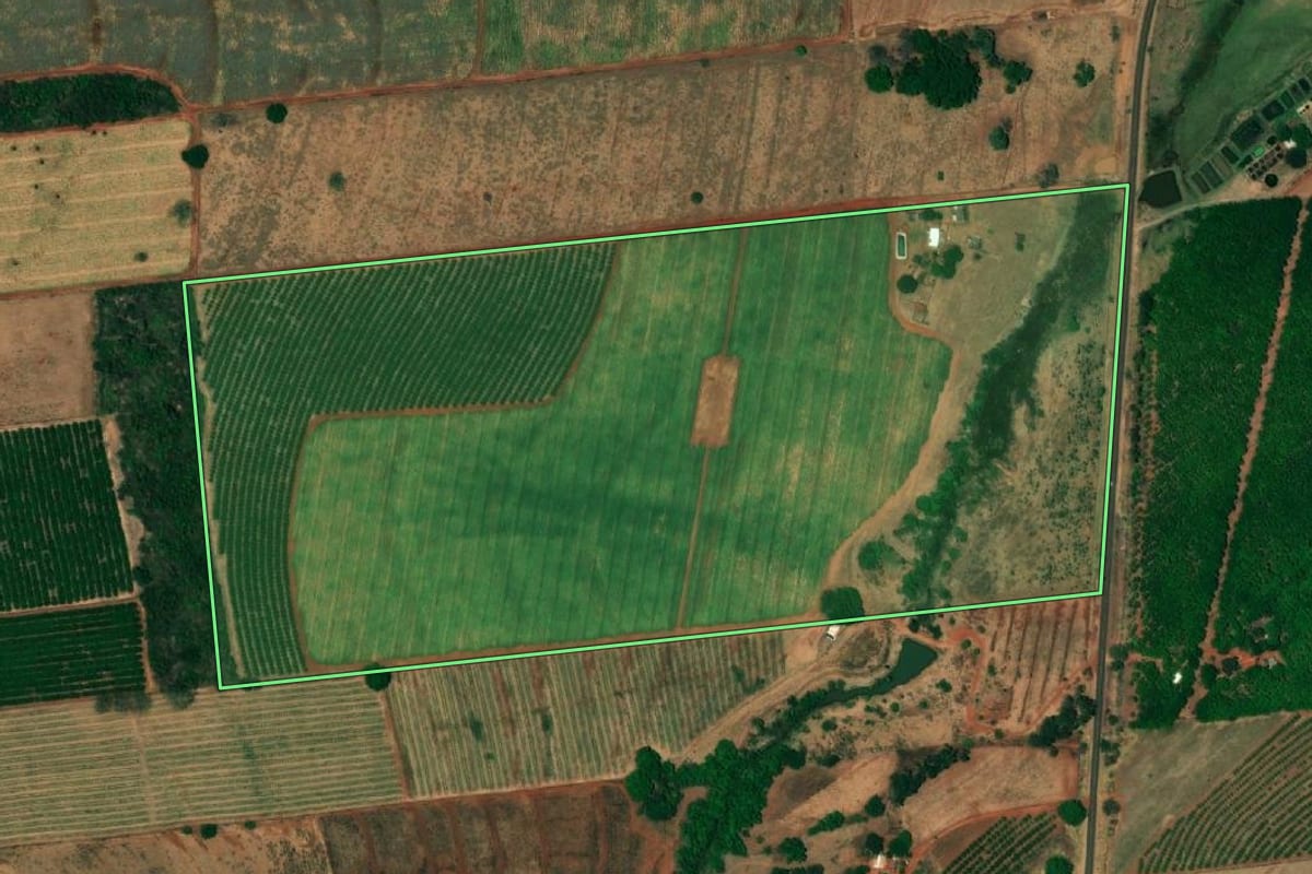 Imagem de satélite do imóvel rural em Urânia (SP), com o contorno declarado no CAR desenhado por cima.