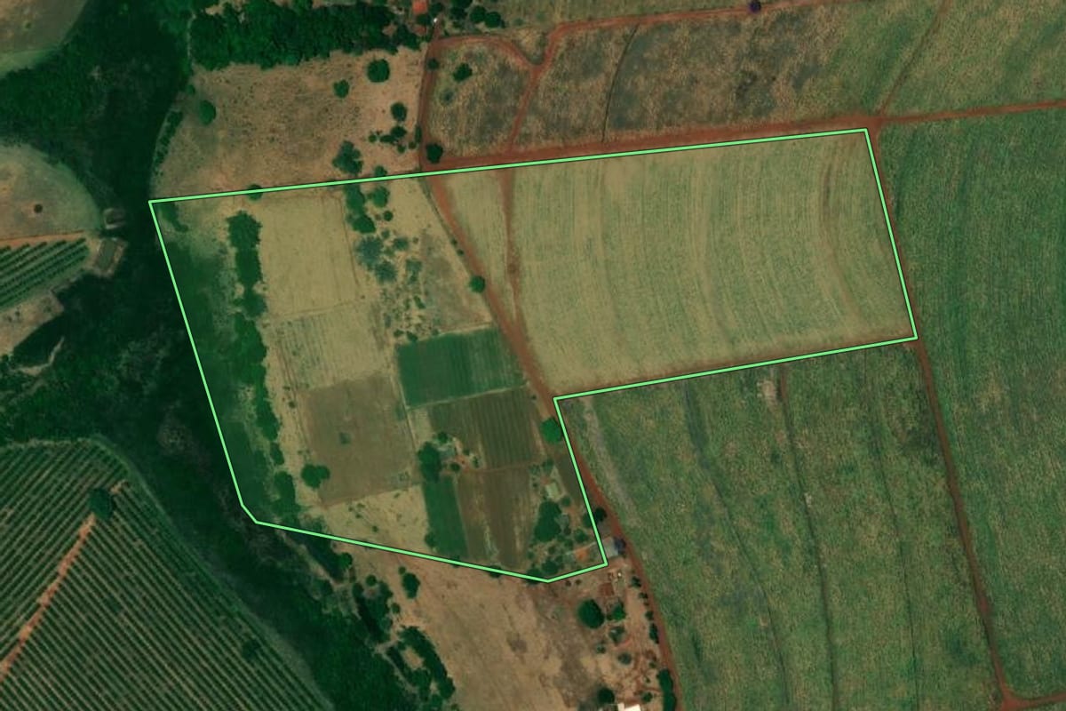 Imagem de satélite do imóvel rural em Urânia (SP), com o contorno declarado no CAR desenhado por cima.