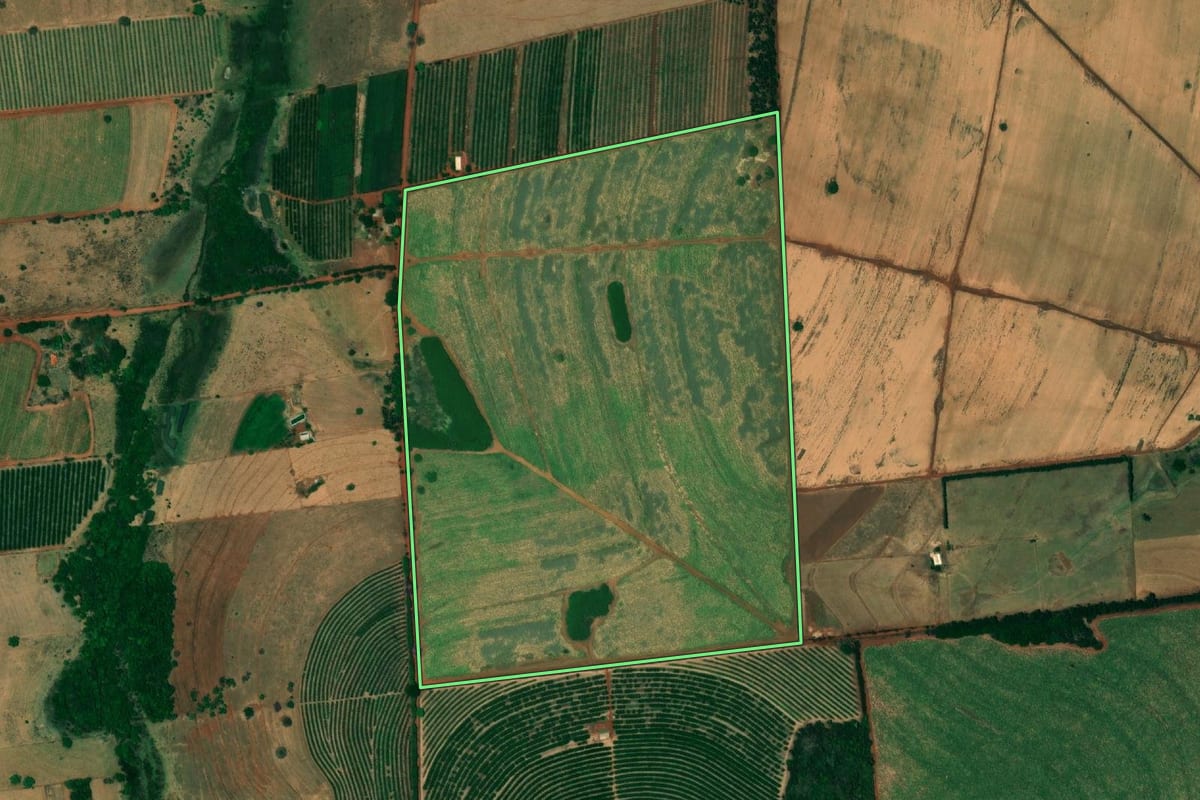 Imagem de satélite do imóvel rural em Urânia (SP), com o contorno declarado no CAR desenhado por cima.