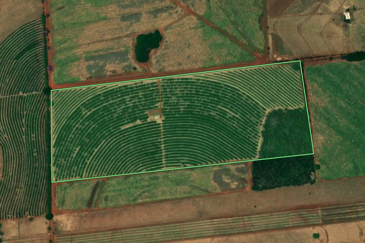 Imagem de satélite do imóvel rural em Urânia (SP), com o contorno declarado no CAR desenhado por cima.