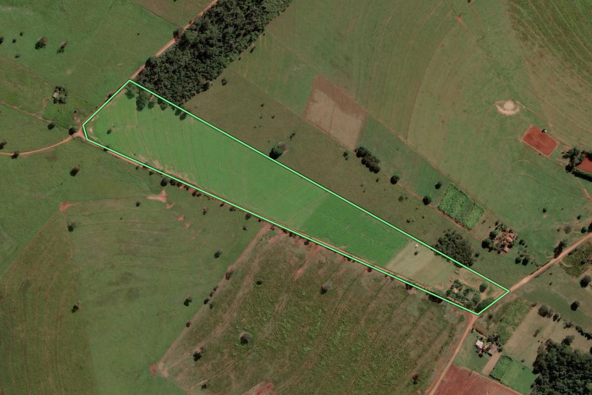 Imagem de satélite do imóvel rural em Urânia (SP), com o contorno declarado no CAR desenhado por cima.