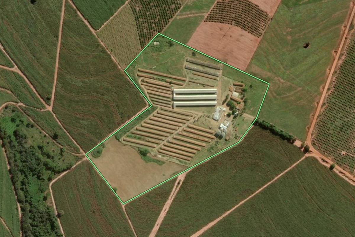 Imagem de satélite do imóvel rural em Urupês (SP), com o contorno declarado no CAR desenhado por cima.