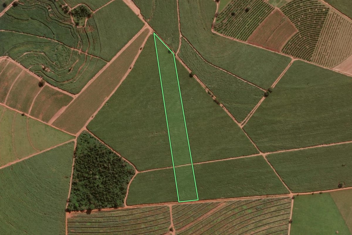 Imagem de satélite do imóvel rural em Urupês (SP), com o contorno declarado no CAR desenhado por cima.