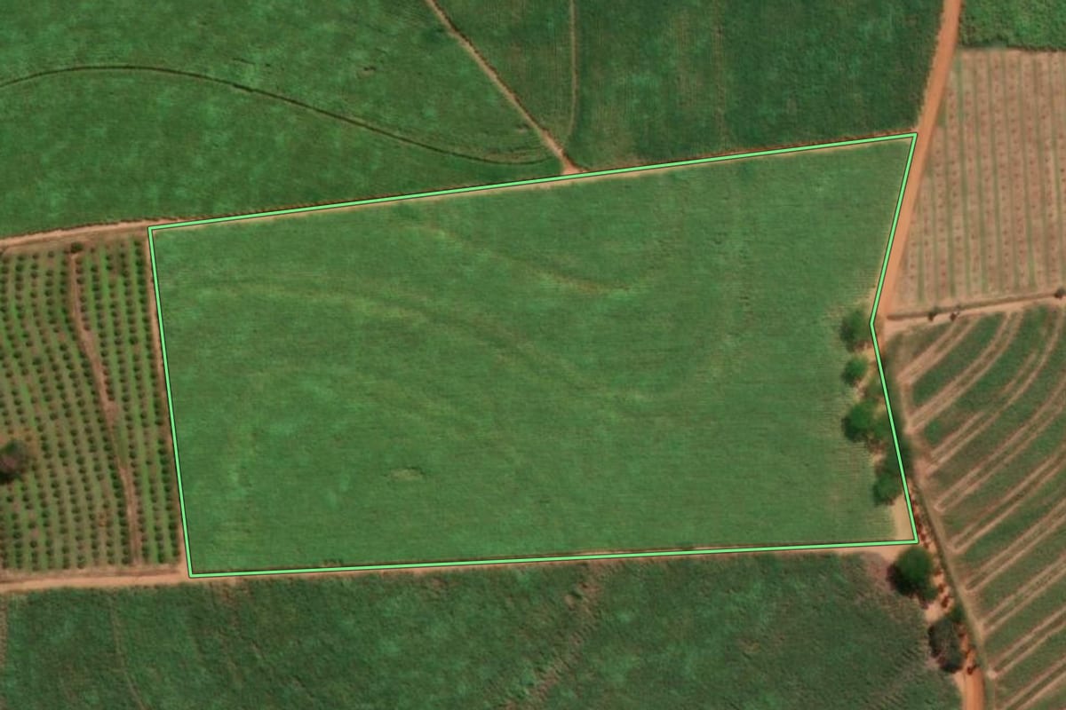 Imagem de satélite do imóvel rural em Urupês (SP), com o contorno declarado no CAR desenhado por cima.