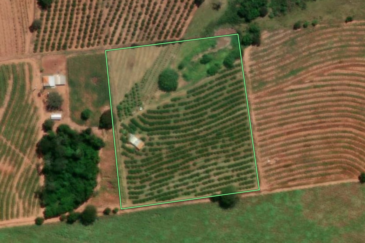 Imagem de satélite do imóvel rural em Urupês (SP), com o contorno declarado no CAR desenhado por cima.