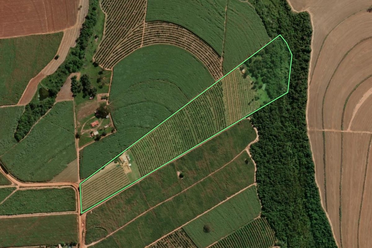 Imagem de satélite do imóvel rural em Urupês (SP), com o contorno declarado no CAR desenhado por cima.