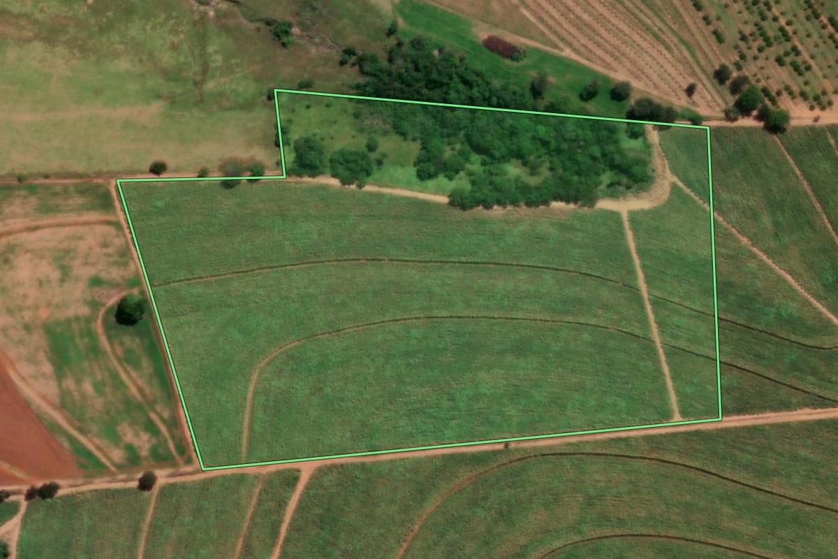Imagem de satélite do imóvel rural em Urupês (SP), com o contorno declarado no CAR desenhado por cima.